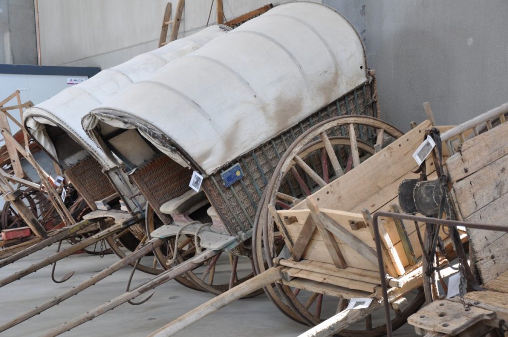 eines del camp del museu de campllong