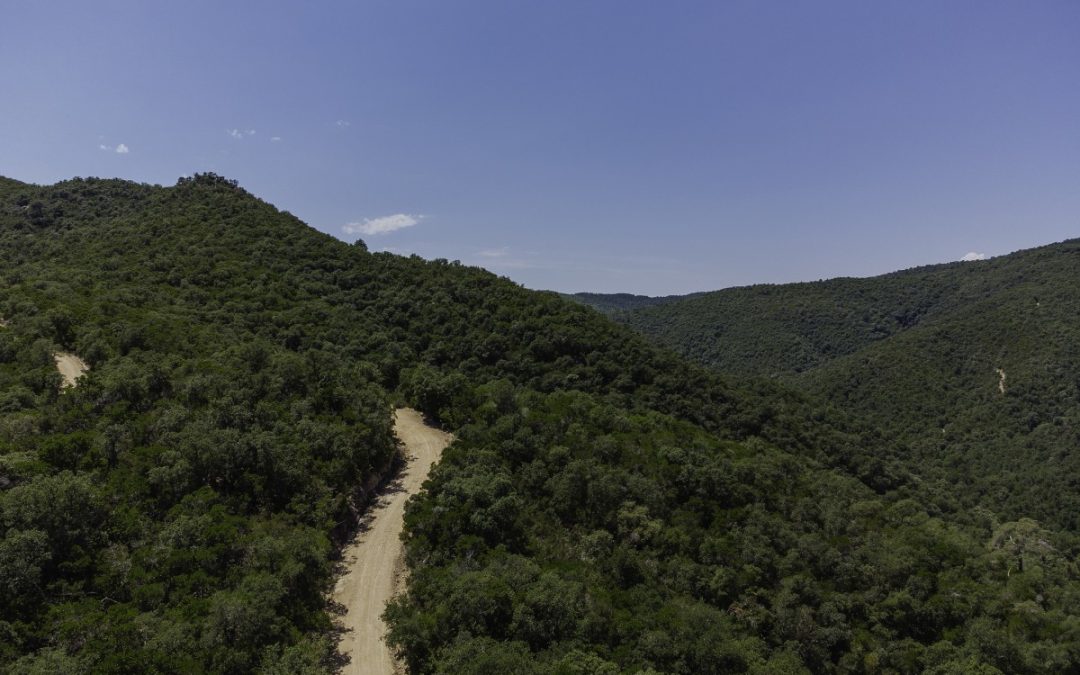 Cim de Montigalar