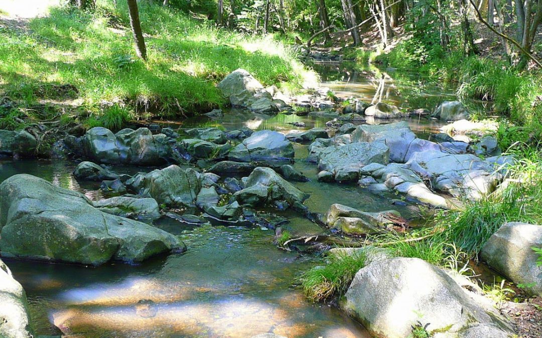 La capçalera de l’Onyar