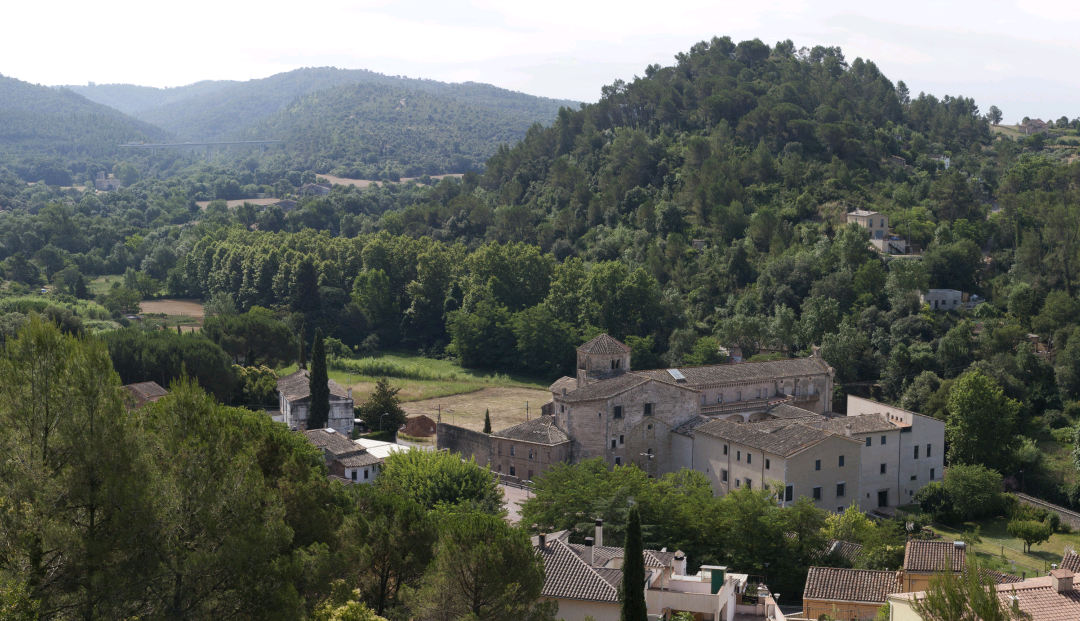 Ruta dels arbres monumentals